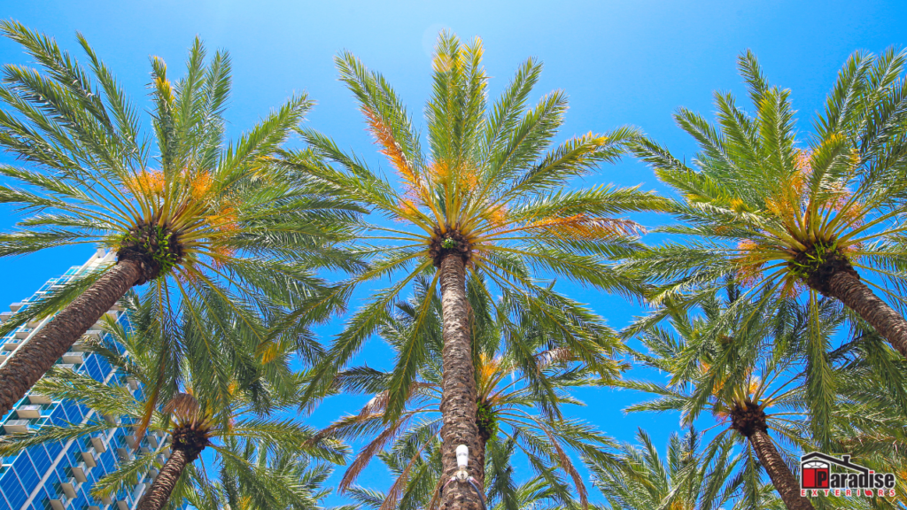 Finding the Right Contractor in Coral Springs