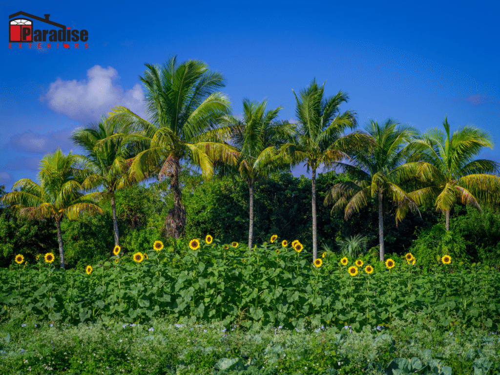 Modernize Your Home With Premium Windows In Homestead, FL