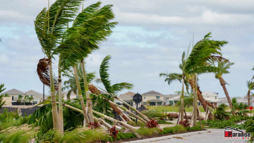 What are Impact Replacement Windows