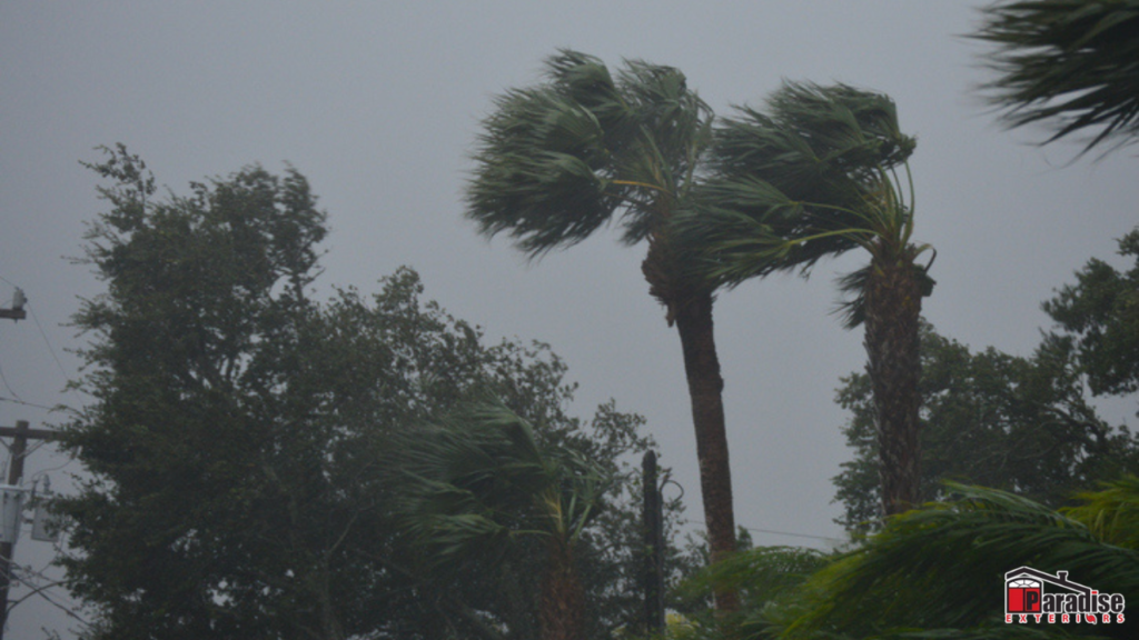 When to Install Impact Windows