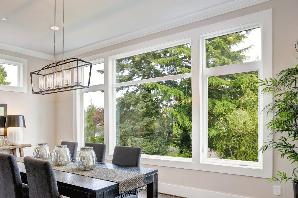 paradise picture window replacement ideas